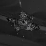 grand-sac-banane-homme-fermeture-eclair-etanche grand sac banane homme noir fermetures éclairs étanches